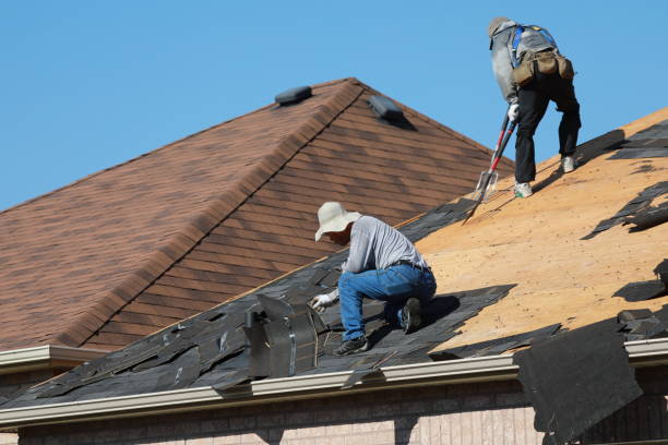 Best Metal Roofing Installation  in Cassopolis, MI