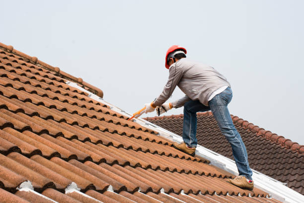 Best Roof Installation  in Cassopolis, MI